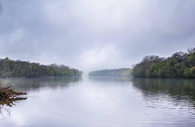 2019 Algonkian Park Cleanup